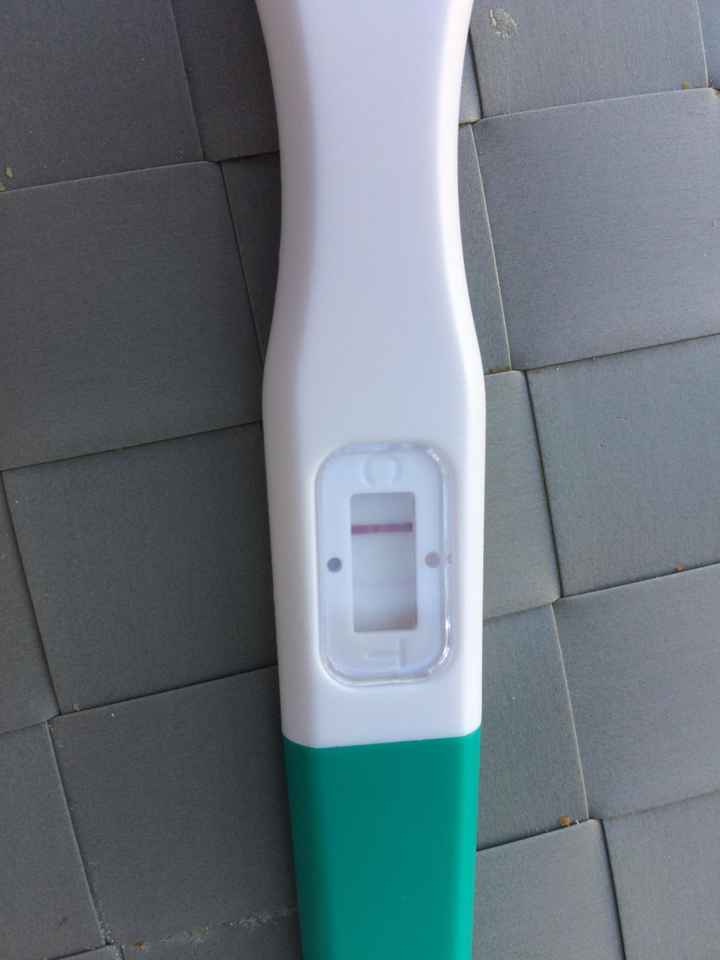 🌺Chi non le aspetta per agosto 🎁🏖️🌞💛💚❤️💝🌻🌷 - 1