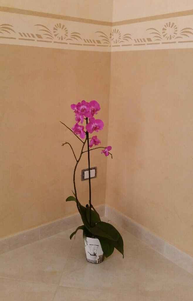 Si iniziano le grandi pulizie❤ - 1