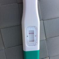 🌺Chi non le aspetta per agosto 🎁🏖️🌞💛💚❤️💝🌻🌷 - 1