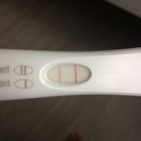 🌺Chi non le aspetta per agosto 🎁🏖️🌞💛💚❤️💝🌻🌷 - 1