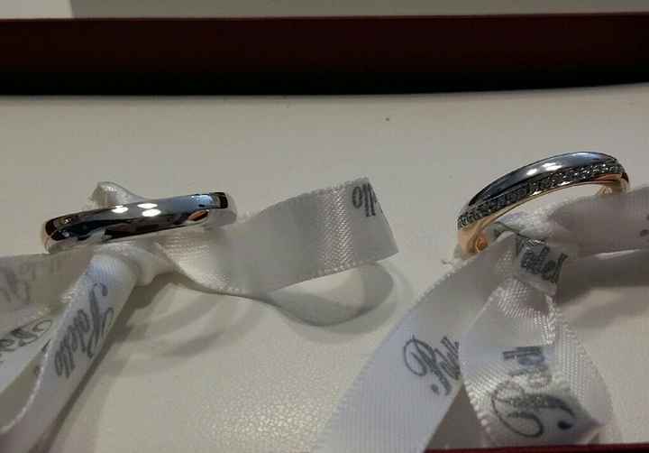 Finalmente fedi arrivate - 1