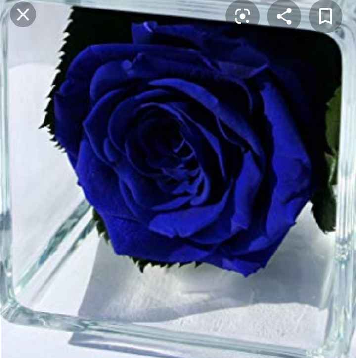 Aiuto😳 tema Matrimonio - 2