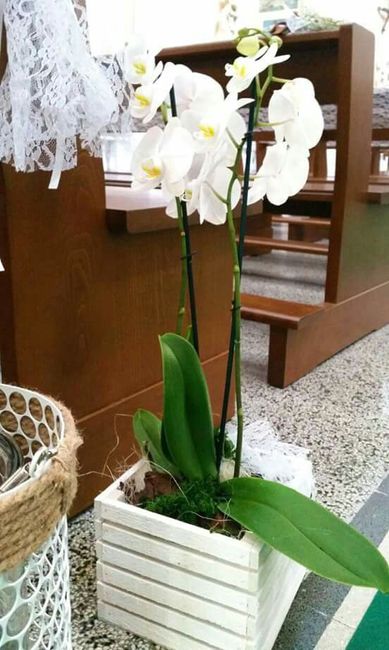 Allestimento chiesa - 6