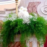 Allestimento chiesa - 4