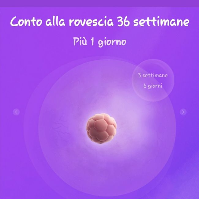 Chi non le aspetta per Dicembre 2020 🍀❣️🎄🎁🎀🌠 - 2