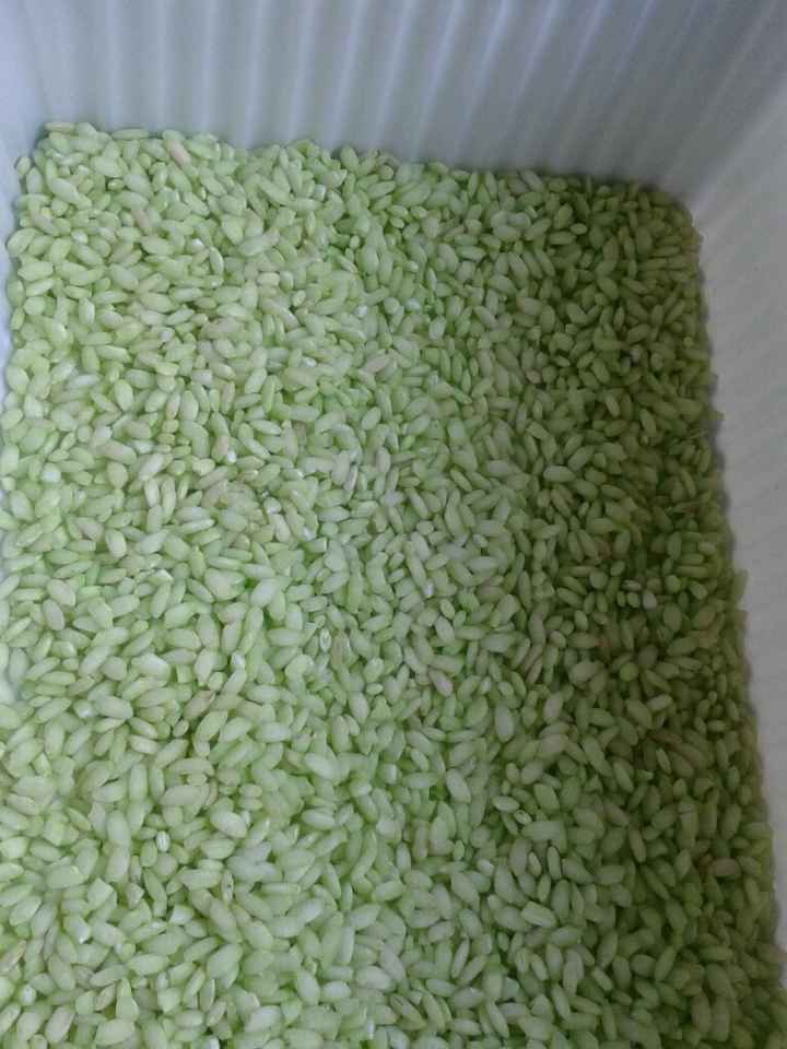 I miei porta coni per il riso! - 2