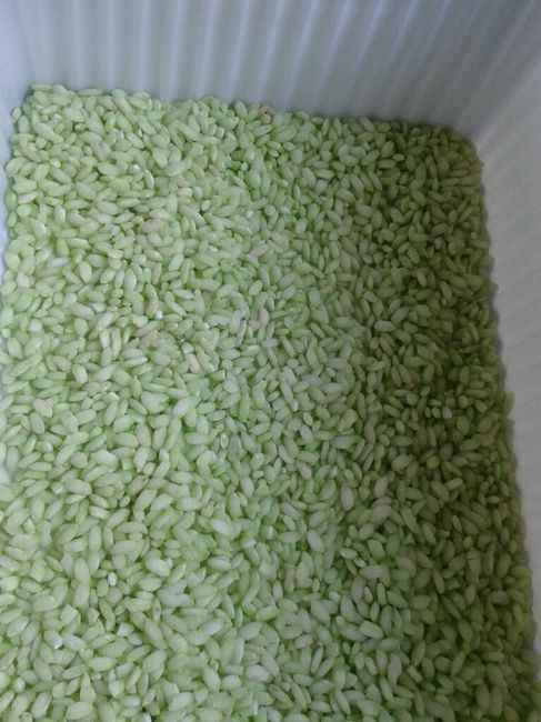 I miei porta coni per il riso! - 2