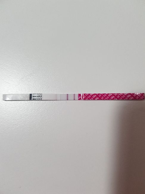 Chi non le aspetta per settembre 🍀🤞 - 1