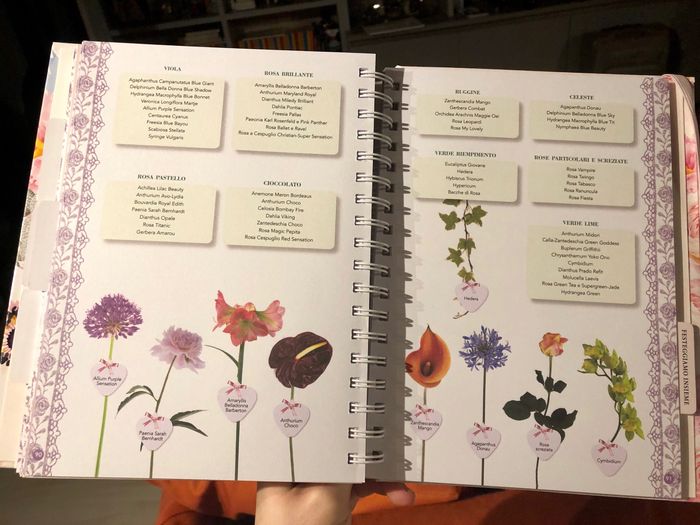 Organizer matrimonio - 1