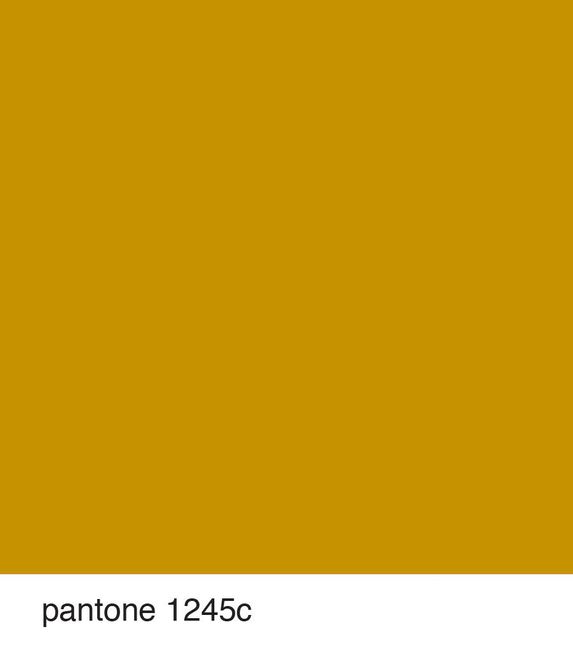 Pantone: ditemi quale è il vostro?? 💙💚💛🧡❤️💜 2