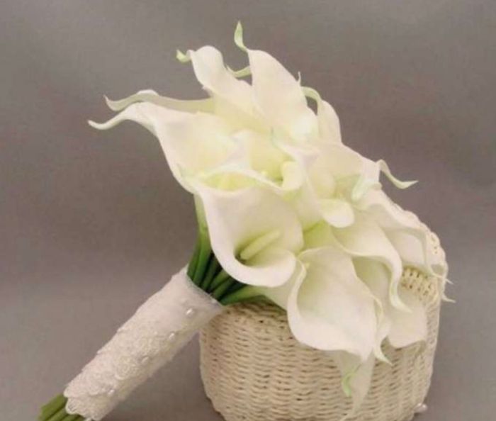 Abemus Bouquet. (forse). - 2