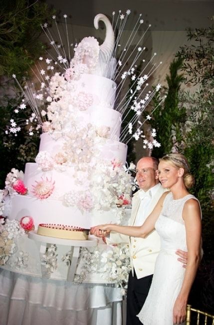 Quale votate tra queste torte Vip? - 4