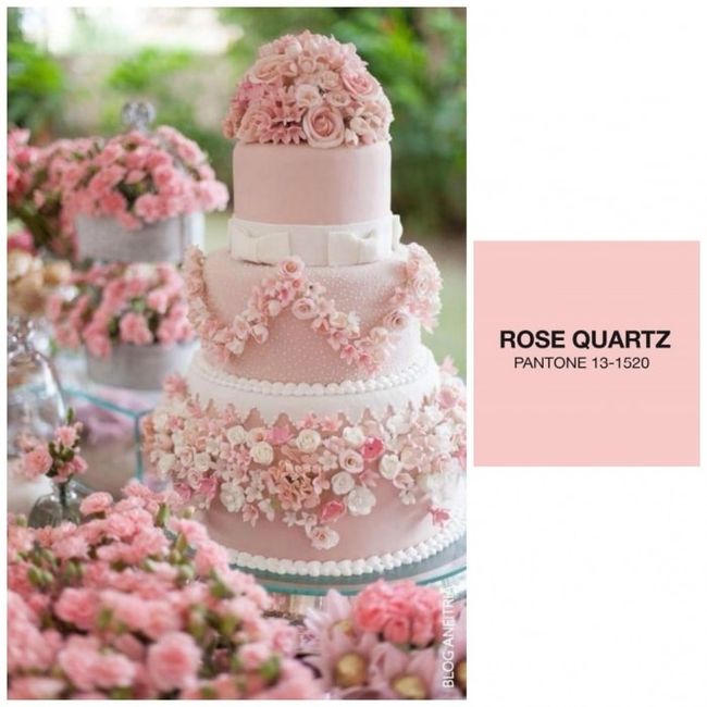 Matrimonio rosa 👙🌸🌷 - 7