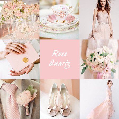 Matrimonio rosa 👙🌸🌷 - 12