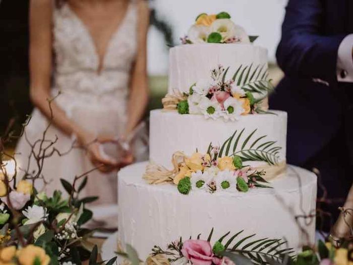 Annosa questione: la torta? 5