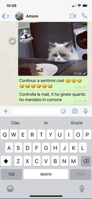 Condividi lo screenshot dell'ultimo messaggio che vi siete inviati 20