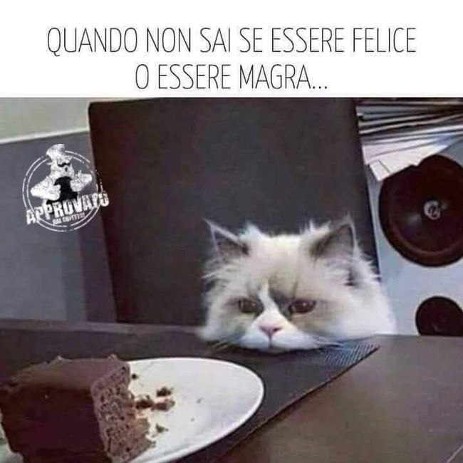 Condividi lo screenshot dell'ultimo messaggio che vi siete inviati 21