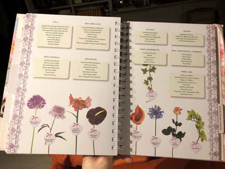 Organizer matrimonio - 1
