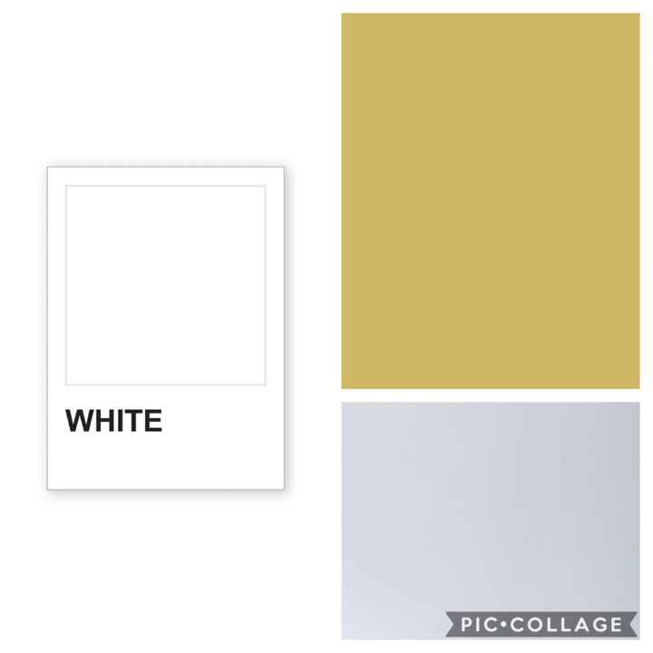 Pantone: ditemi quale è il vostro?? 💙💚💛🧡❤️💜 - 4