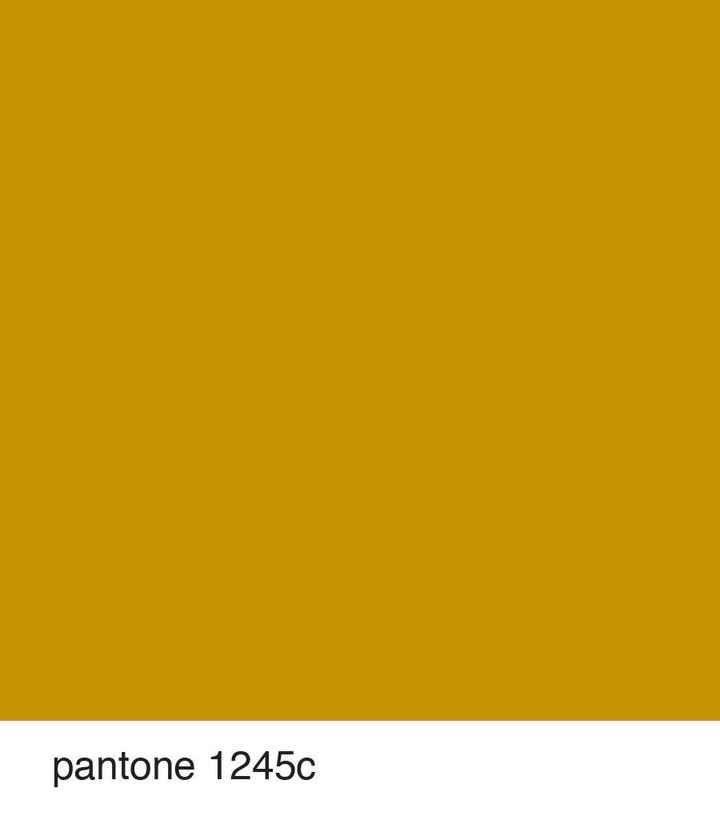 Pantone: ditemi quale è il vostro?? 💙💚💛🧡❤️💜 - 1