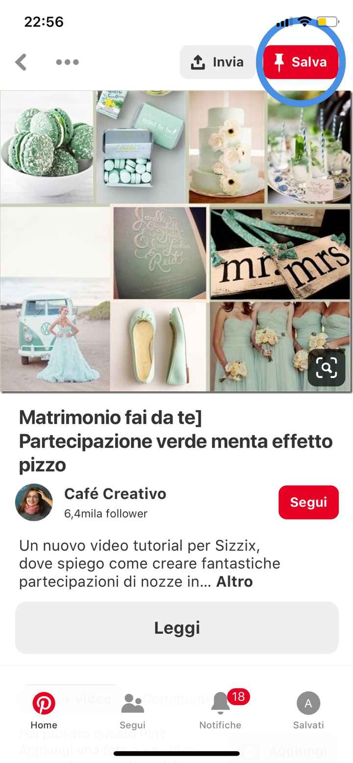 Matrimonio verde? 🍀👒🌱🌿💚 - 7