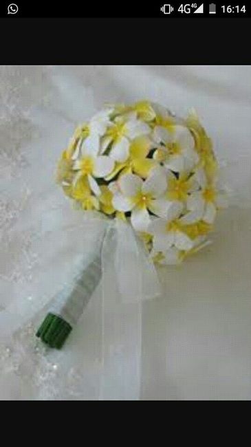 Che fiori sono ? - 2