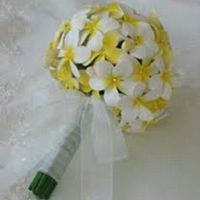 Che fiori sono ? - 2