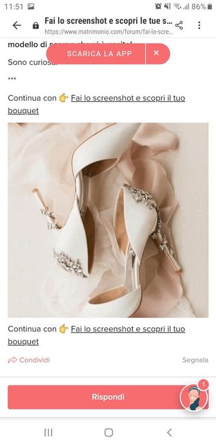 Fai lo screenshot e scopri le tue scarpe - 1
