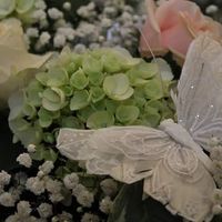 Fiori - 1