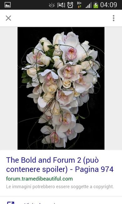 Rose rosa cipria e...???? - 1