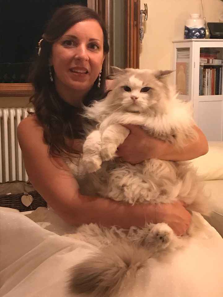 Ci sono i vostri pelosetti nel vostro grande giorno??😍🐶 - 1