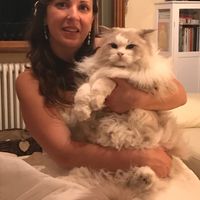 Ci sono i vostri pelosetti nel vostro grande giorno??😍🐶 - 1
