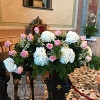 Ortensie bianche - 1