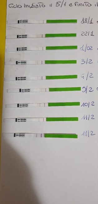 Non capisco più niente 🤦‍♀️ - 1