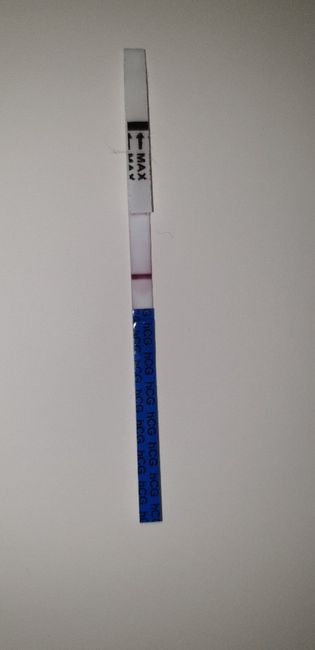 Aspiranti mammine Maggio 2019 1