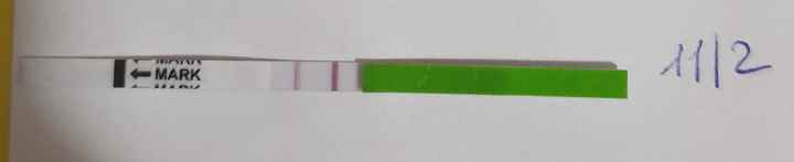 Ovulazione,aiutatemi - 3