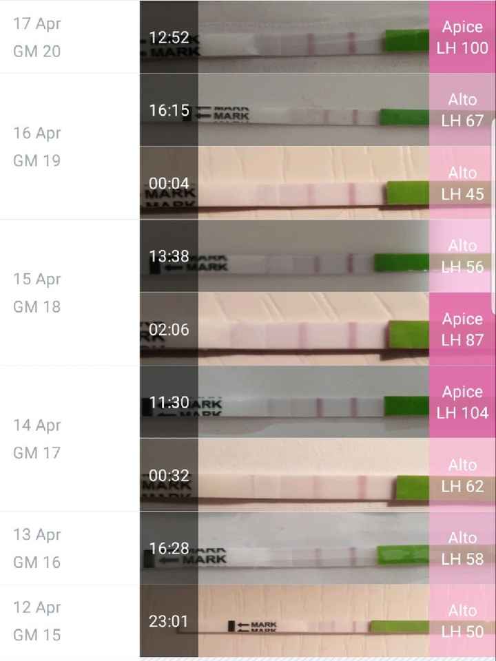 Test ovulazione, mi date una mano - 1