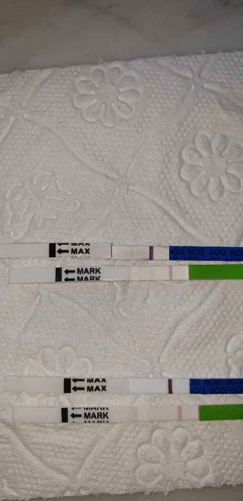 Aspiranti mamme Agosto 2019 ❣️ - 1