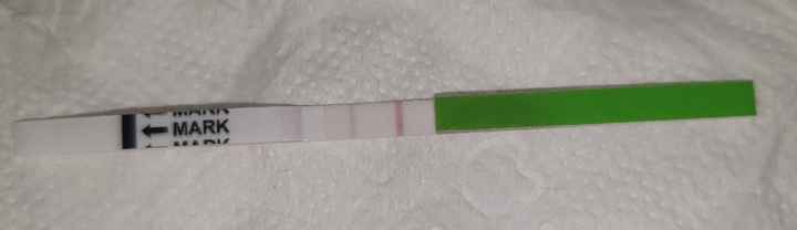 Non riesco a capire... - 2