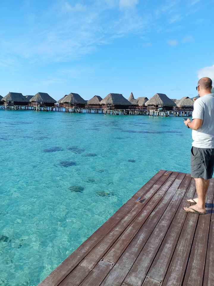 Meglio Indonesia o Polinesia? - 1