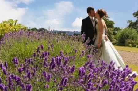 Matrimonio con tema lavanda-provenzale