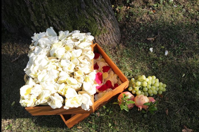 Conetti porta riso 2