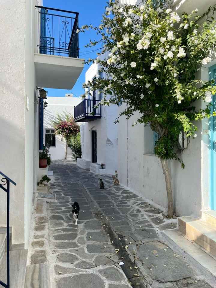 Luna di miele ✨️ - 15