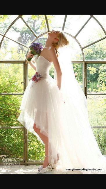 Abito corto o lungo? - 1