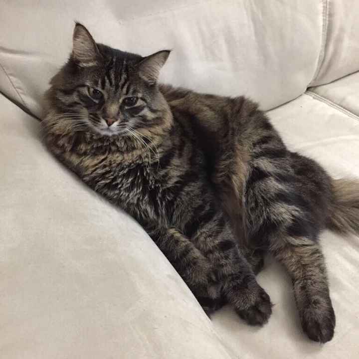  La famiglia si allarga.... - 1