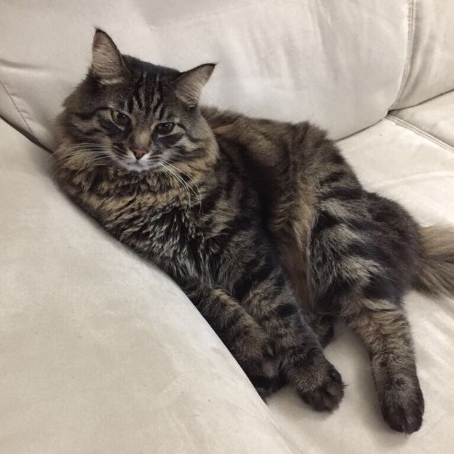  La famiglia si allarga.... - 1