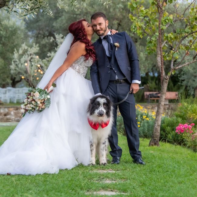 Cane - Matrimonio: Come avete fatto? 3