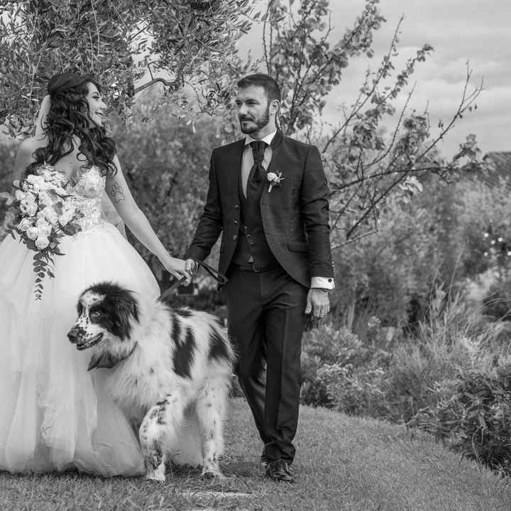 Cane - Matrimonio: Come avete fatto? - 1