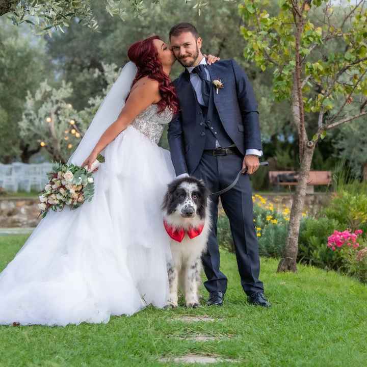 Cane - Matrimonio: Come avete fatto? - 2