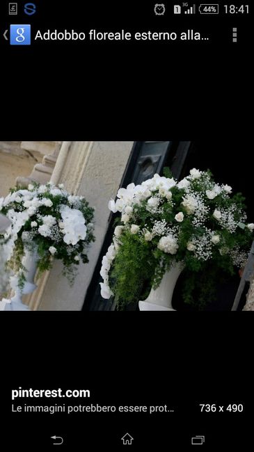 Solo rose bianche o rose bianche e rosa? - 3